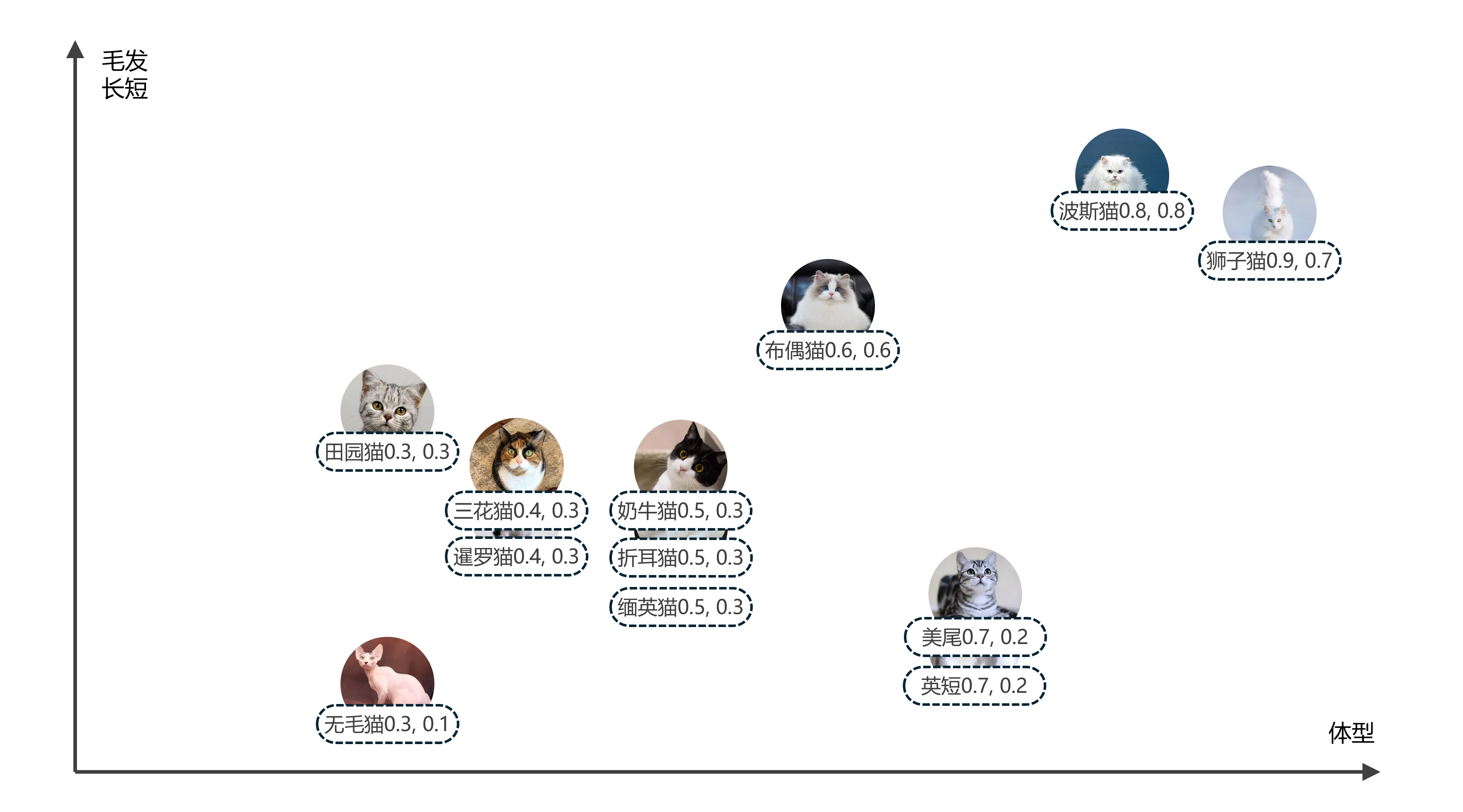 猫品种的二维和三维向量空间