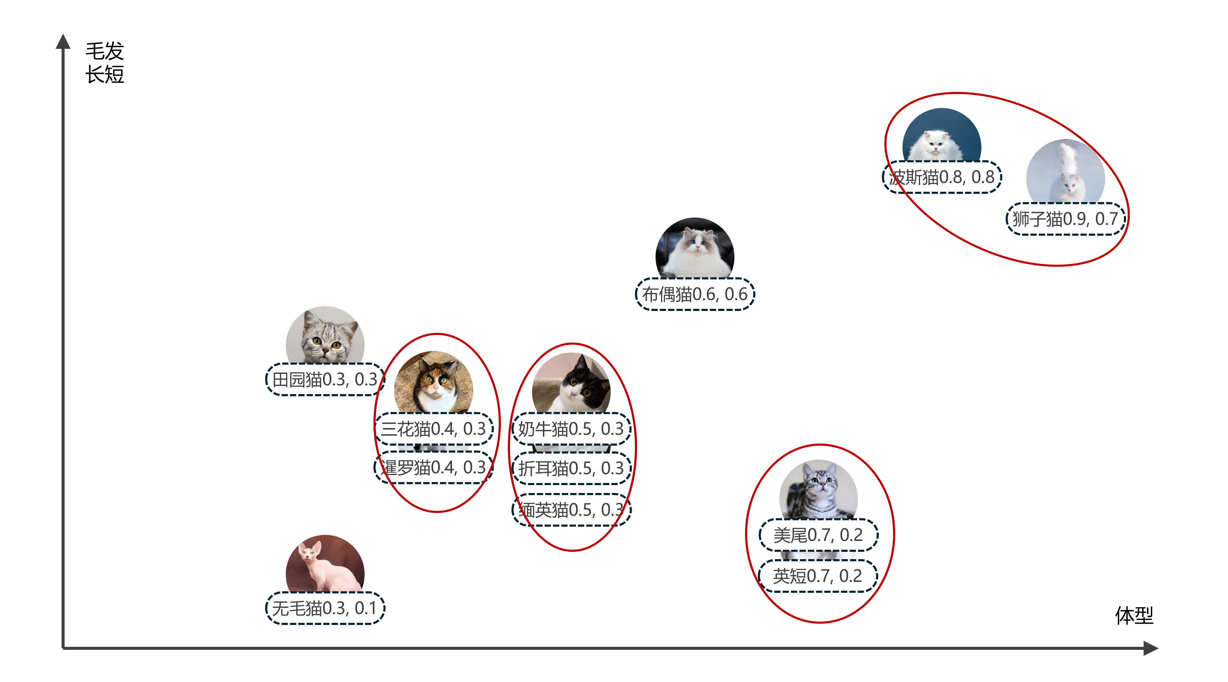 向量数据库中的查询与搜索